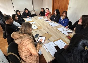 SENADIS PARTICIPA EN JORNADA PROVINCIAL DE DISCAPACIDAD EN CHILOÉ