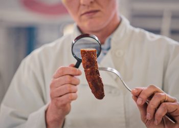 FRUTILLAR SERÁ SEDE DEL PRIMER FESTIVAL DE CINE “STRAWBERRY FRAMES”