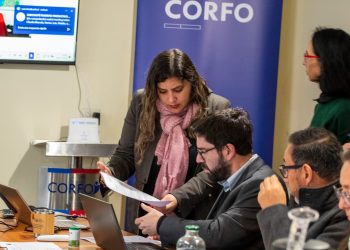 SUBCOMITÉ DE FOMENTO PRODUCTIVO SESIONA EN CORFO LOS LAGOS CON FOCO EN INNOVACIÓN Y NUEVOS DESAFÍOS TERRITORIALES