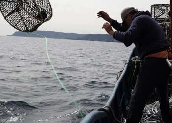 EDITORIAL: OTRA VEZ LOS INDUSTRIALES ECHANDO A PELEAR A LOS TRABAJADORES