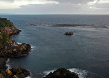 FUNDACIÓN TERRAM EVIDENCIÓ QUE LA SALMONERA AQUACHILE HA ELUDIDO SISTEMÁTICAMENTE EL SISTEMA DE EVALUACIÓN DE IMPACTO AMBIENTAL