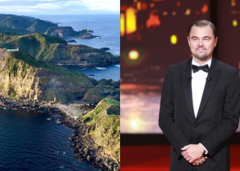 UNA ONG CONSERVACIONISTA VINCULADA AL ACTOR LEONARDO DICAPRIO ESTARÍA NEGOCIANDO LA COMPRA DE ISLA GUAFO