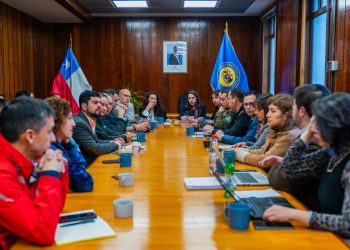 AUTORIDADES REGIONALES COORDINAN DESPLIEGUE PARA ASEGURAR CORRECTO DESARROLLO DE LAS PRIMARIAS PRESIDENCIALES EN LOS LAGOS