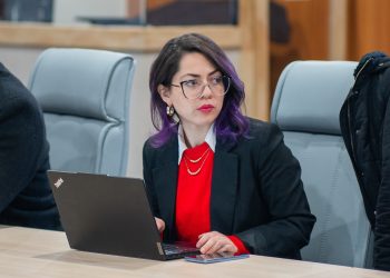 COLUMNA DE DANITZA ORTIZ, SEREMI DE GOBIERNO DE LOS LAGOS: PRIMARIAS PRESIDENCIALES QUE ROBUSTECEN NUESTRA DEMOCRACIA