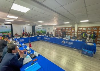ENTRE LOS PROYECTOS DESTACA LA MURALLA DE PAPEL: APRUEBAN RECURSOS PÚBLICOS DEL FONDO DE MEDIOS 2025