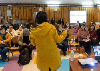 GOBIERNO RECONOCE LABOR DE DIRIGENCIAS SOCIALES CON ACTIVIDADES EN TODA LA REGIÓN DE LOS LAGOS