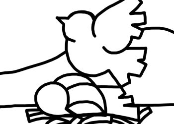 DECLARACIÓN PÚBLICA ORGANIZACIONES DE DERECHOS HUMANOS