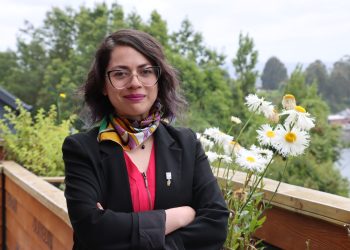 COLUMNA DE DANITZA ORTIZ, SEREMI DE GOBIERNO DE LOS LAGOS: CHILE CRECE, LO DICEN LOS HECHOS